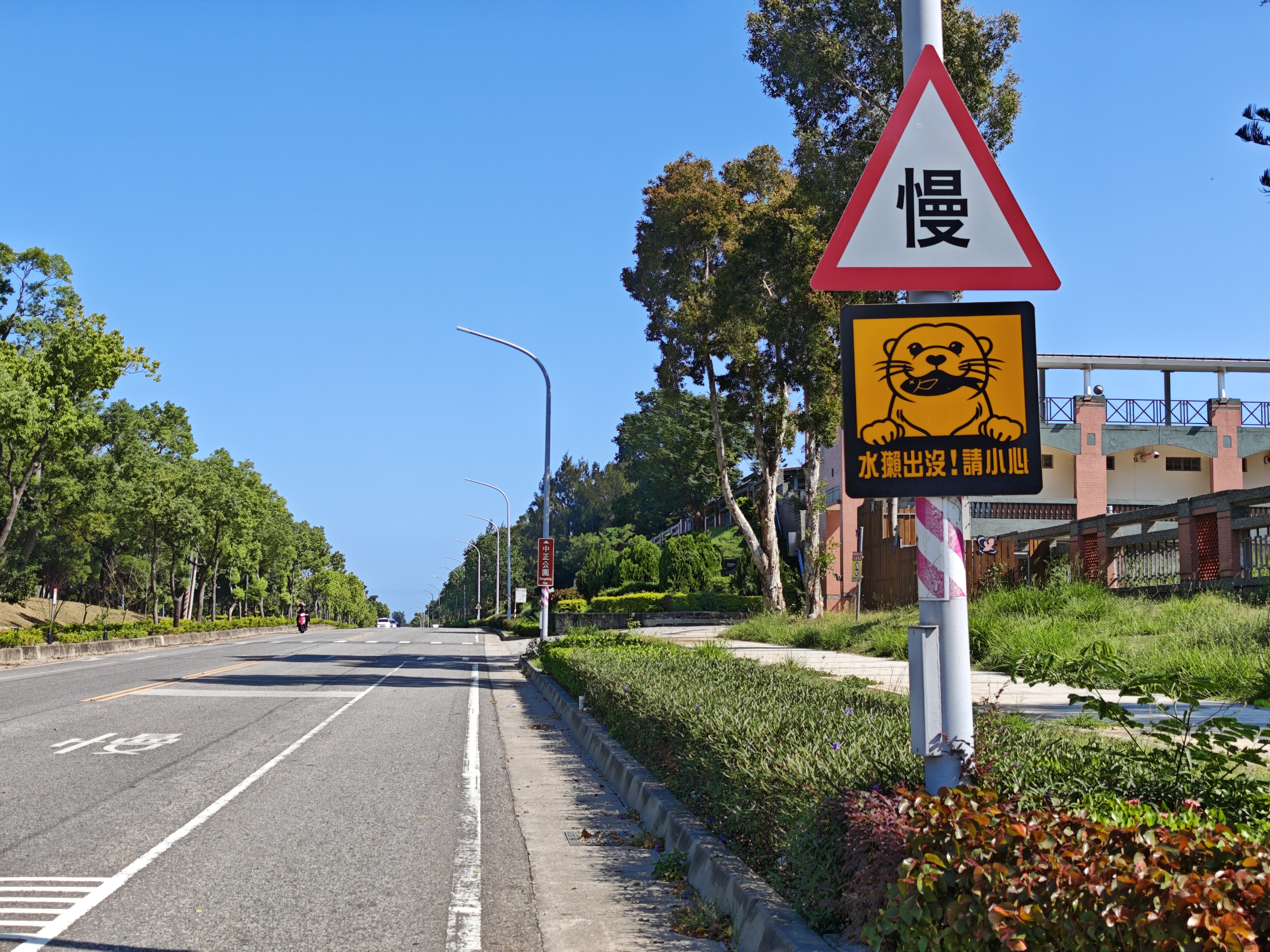 Otters in the area—please take care