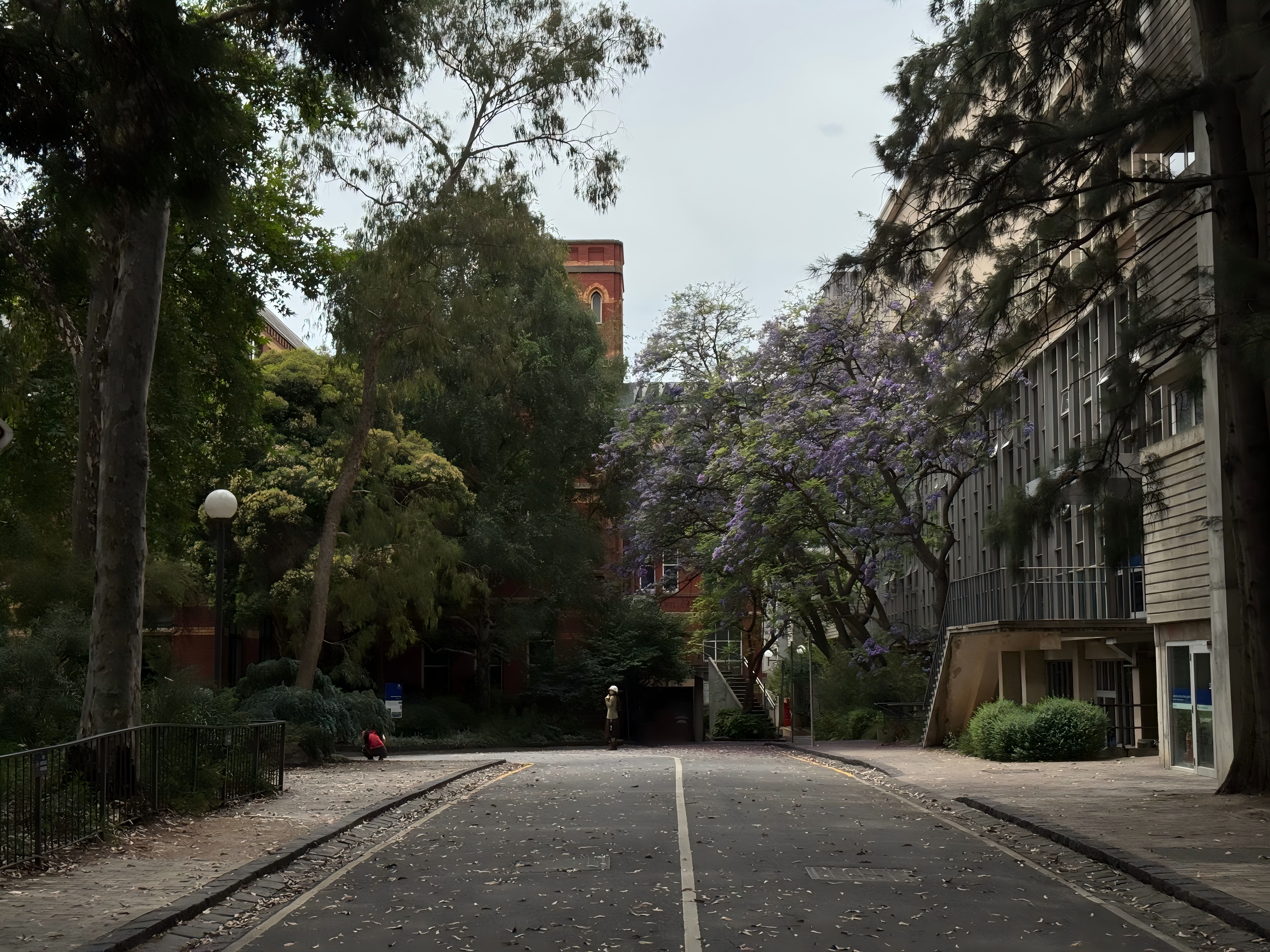 University of Melbourne